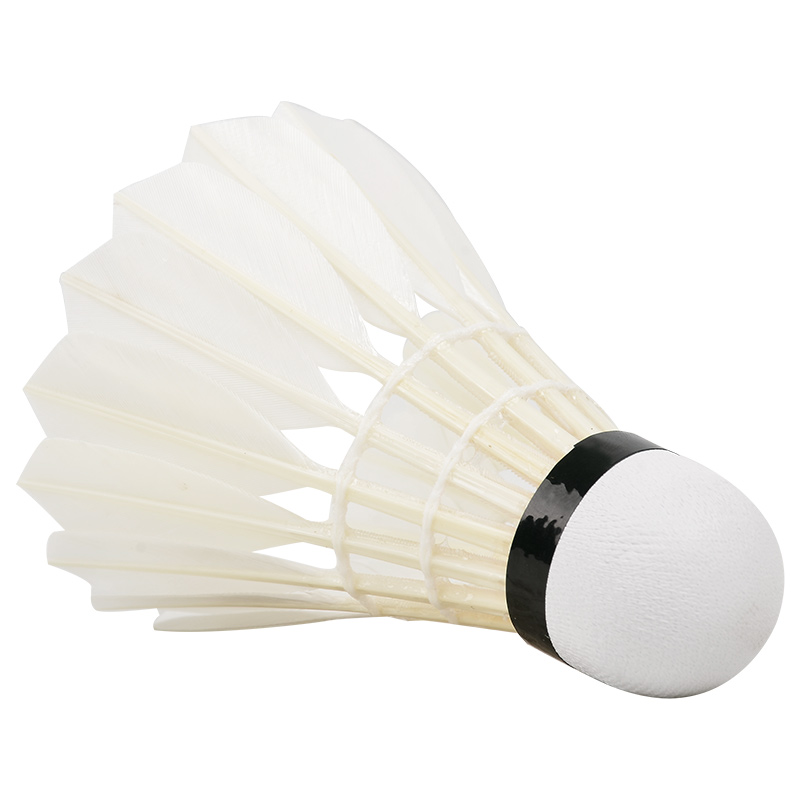 新しいプロのバドミントンボールg200,12個,白いガチョウ - Badminton Youtube のレビューと価格