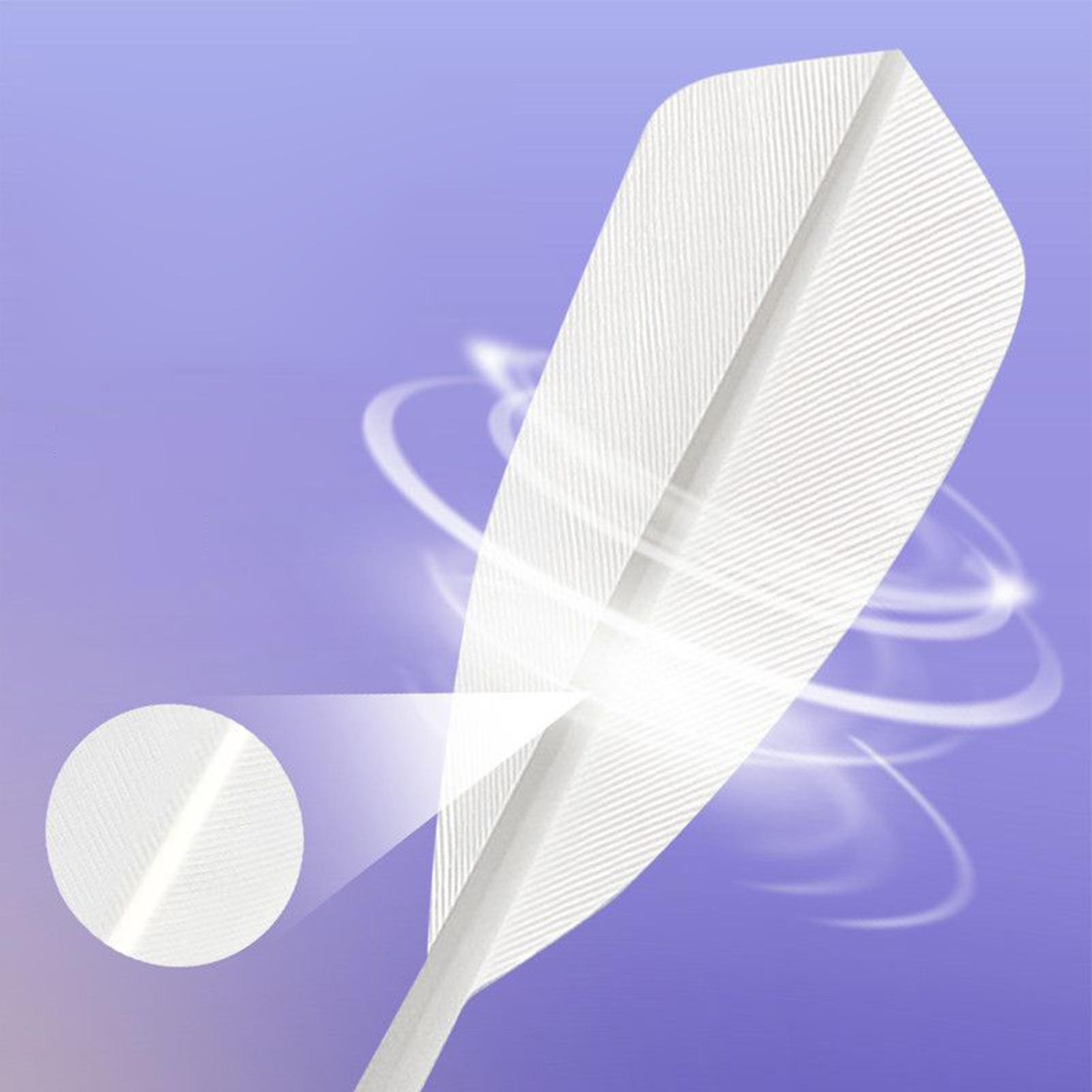 バドミントンシャトルボール、屋外用、高安定性、バッティング練 - Badminton Youtube のレビューと価格